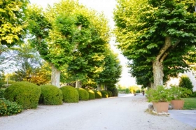 Maison d'hôtes  'Domaine du manoir' à Les avenières