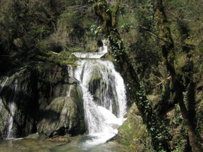 Chambre d'hôte 'Murmure des buis' à Corveissiat