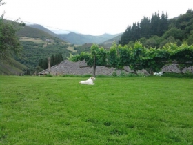 Studio / Appartement à Allande