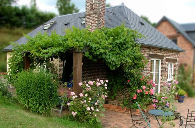 Photo Gîte rural Sainte-marguerite-de-viette Les petits matins bleus, les pommiers, ...