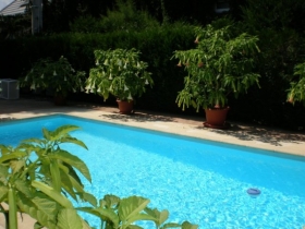 Chambres d'hôte studio 'Les brugmansias ' à Biesheim