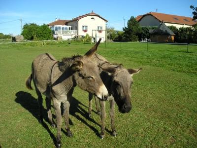 Photo Hoeville Chambre d'hotes