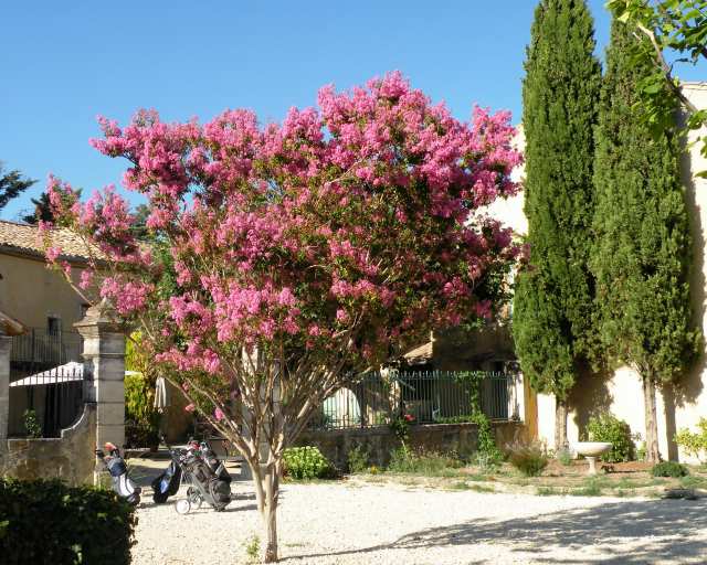 Photo Gîte de séjour Clansayes Gîte du golf de la drôme provençale