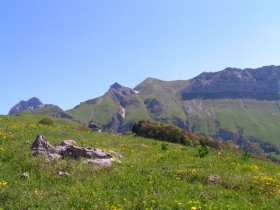 Chambre d'hôte 'Les perrelles' à Bellecombe-en-bauges