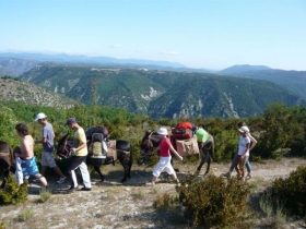 Gîte d'étape 'Gîte de pouss'combe' à La vacquerie