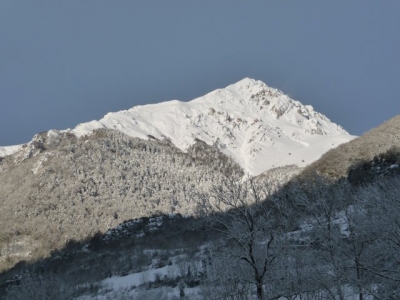 Chambre d'hôte 'Les hélianthèmes' à Guchen