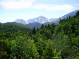 Gîte de séjour 'Maison en montagne, rue de la forêt.' à St martin lys