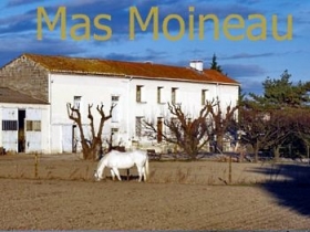 Chambre d'hôte 'Mas moineau' à Saint pierre de mézoargues