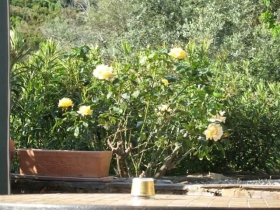 Maison / Villa 'A tomino cap corse' à Tomino