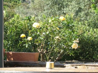 Maison / Villa 'A tomino cap corse' en Haute Corse