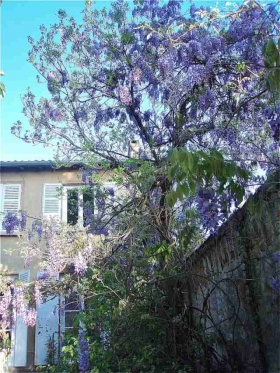 Chambre d'hôte 'Le charme de la campagne beaujolaise à 40 km de Lyon' à Gleizé