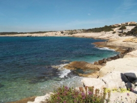 Chambre d'hôte 'La restanque côte bleue' à Sausset les pins