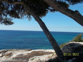 Chambre d'hôte 'La restanque côte bleue' à Sausset les pins