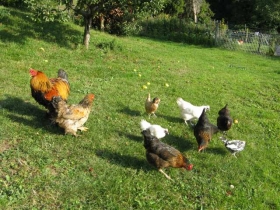 Gîte rural 'Gîte la chevillardeyre' à Claix