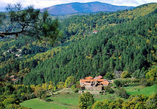 Photo Le collet de dèze Chambre et table d'hôtes lou-rey en cé ...