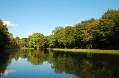 Chambre d'hôtes de charme  'Domaine du Ris de Feu avec SPA et SAUNA' à Chalais