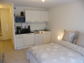 Studio / Appartement 'Location vacance a obernai' à Obernai