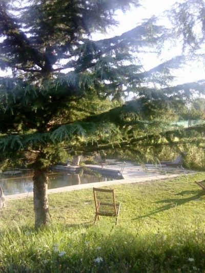Chambre d'hôte 'Le mas du câprier' à Charleval