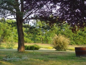 Maison / Villa 'Maison de campagne  LA BOURDETTE - Meublé de tourisme 3 ETOILES' à Le frechet