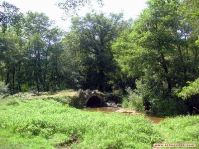 Chambre d'hôte 'Domaine des mouilléres ' à St georges la pouge