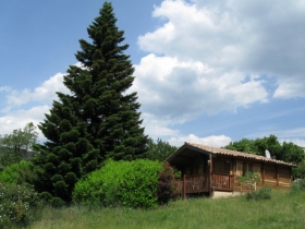 Gîte de séjour 'Le petit chalet' à La roche sur le buis