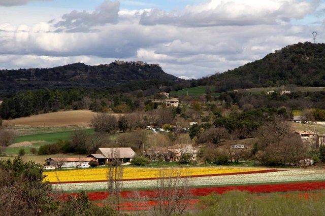 Gîte rural et Camping 'Ferme Equestre Les Coccinelles' à Lurs