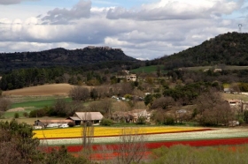 Gîte rural et Camping 'Ferme Equestre Les Coccinelles' à Lurs
