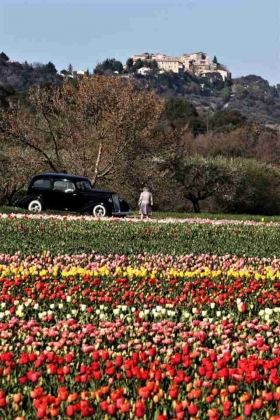 Gîte rural et Camping 'Ferme Equestre Les Coccinelles' à Lurs