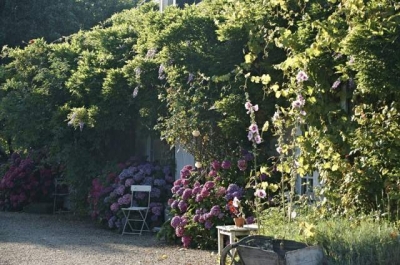 Chambre d'hôte 'La ferme de kerscuntec' dans le Finistere