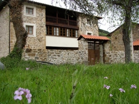 Apartamento rural à Tineo