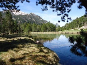 Apartamento à Barruera (la vall de boí)
