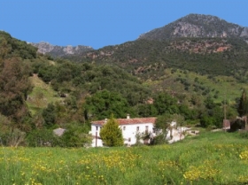 Gite rural/villa, piscine privée, Vue sur la rivière 'Moulin de la croix' à Ubrique