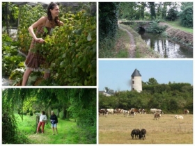Grand Gîte 'Grand Gîte avec piscine' à Heric