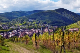'Gîtes ribeauville aux trois clefs' à Ribeauvillé