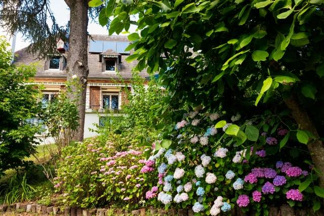 Chambre d'hôte 'La demeures aux pins' à Lourdes