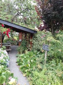 Chambres avec salles de bain privatives et petit-déjeuner 'Ferme apicole de térénez' à Térénez