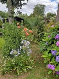 Chambres avec salles de bain privatives et petit-déjeuner 'Ferme apicole de térénez' à Térénez