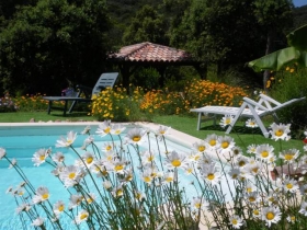 'Cantu di u grillu' à Belvedere-campomoro