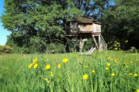 Cabanes dans les arbres et Spa 'La cabane du perche' à Saint mard de reno