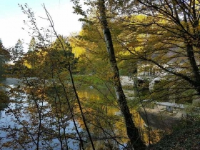 Gite 'Nid dans la foret' à Saint jean aux bois