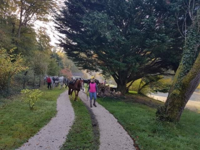 Gite 'Nid dans la foret' dans l' Oise