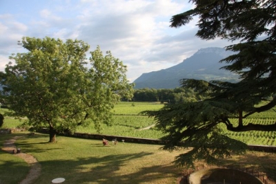 Chambre de charme  'Château La Violette' à Les marches