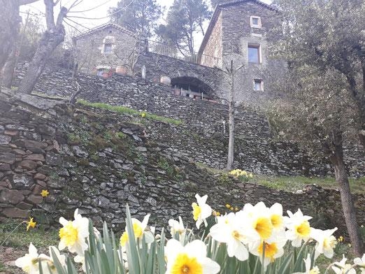 Location de gîtes et chambre d'hôte 'Mas des sources cevenol' à Chambon