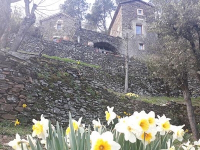 Location de gîtes et chambre d'hôte 'Mas des sources cevenol' dans le Gard