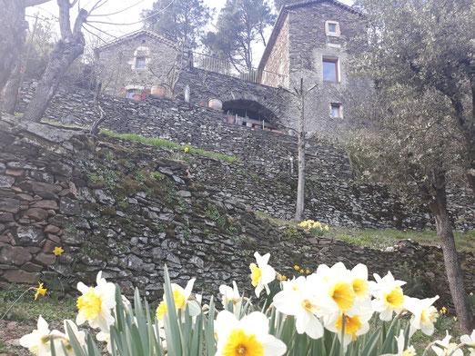 Photo location de gîtes et chambre d'hôte chambon Mas des sources cevenol