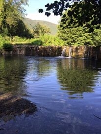 Chambres d'hôtes 'Le merlanson' à Bez et esparon