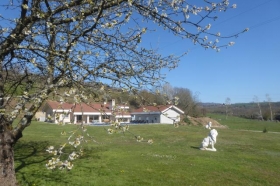Chambre d'hôtes 'L'écrin de verdure' à Rives