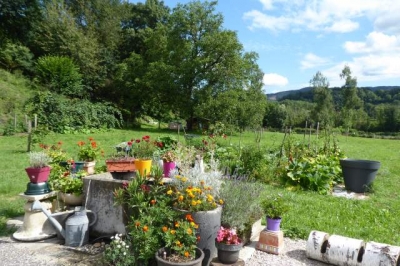 Chambre d'hôtes 'L'écrin de verdure' à Rives