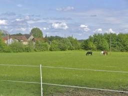 Gîte rural 'Domaine de la Varenne, gîte au sud de Loches (37)' à Mouzay