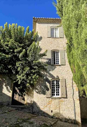 'Le mûrier à vaison-la-romaine' à Vaison-la-romaine